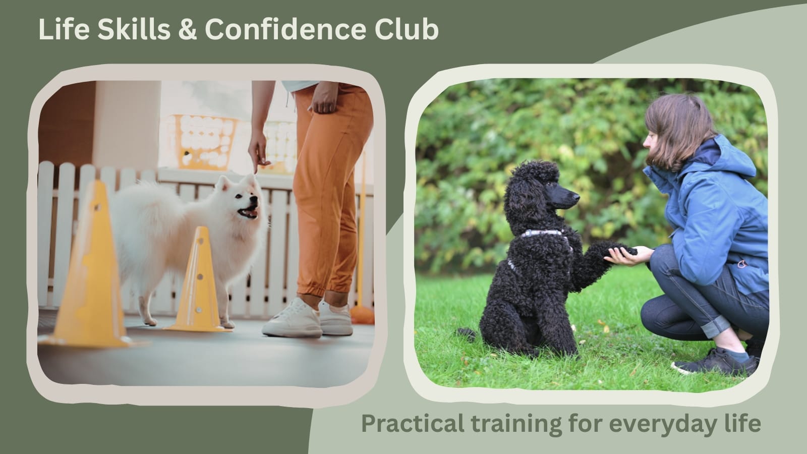 Dog training activities for life skills & confidence clug